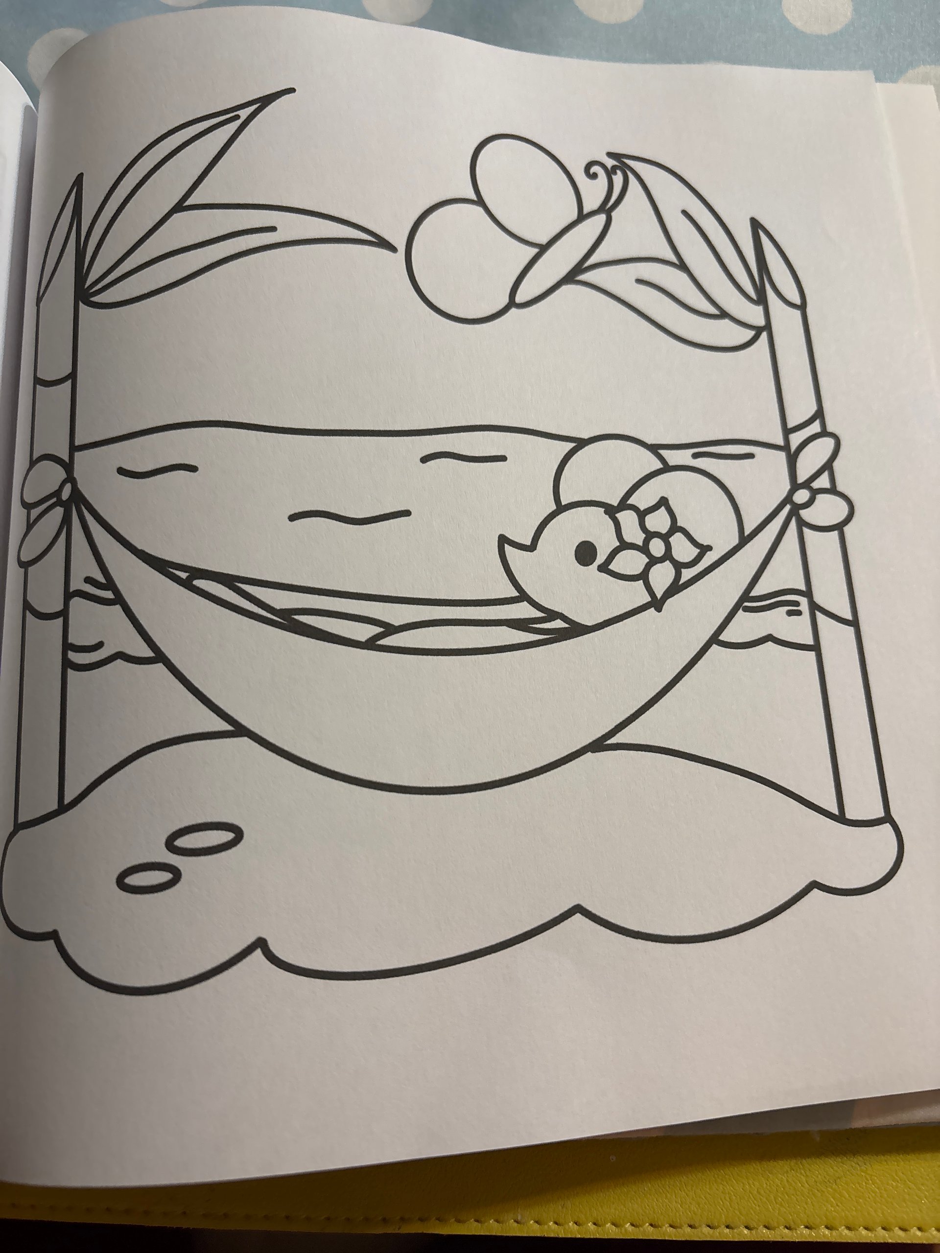 Tropical wildlife including parrots and butterflies