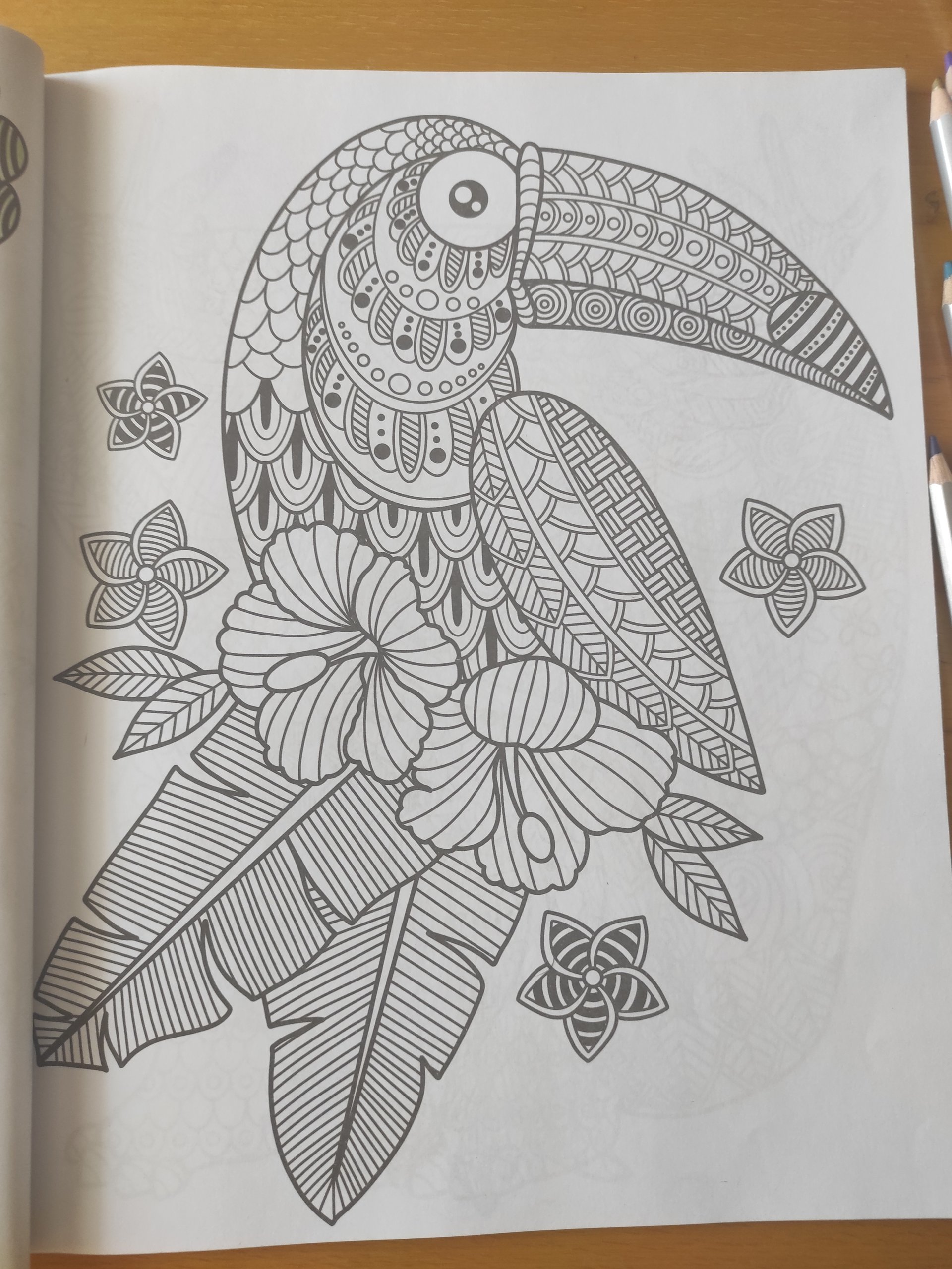 Flower garden coloring page with bright colors