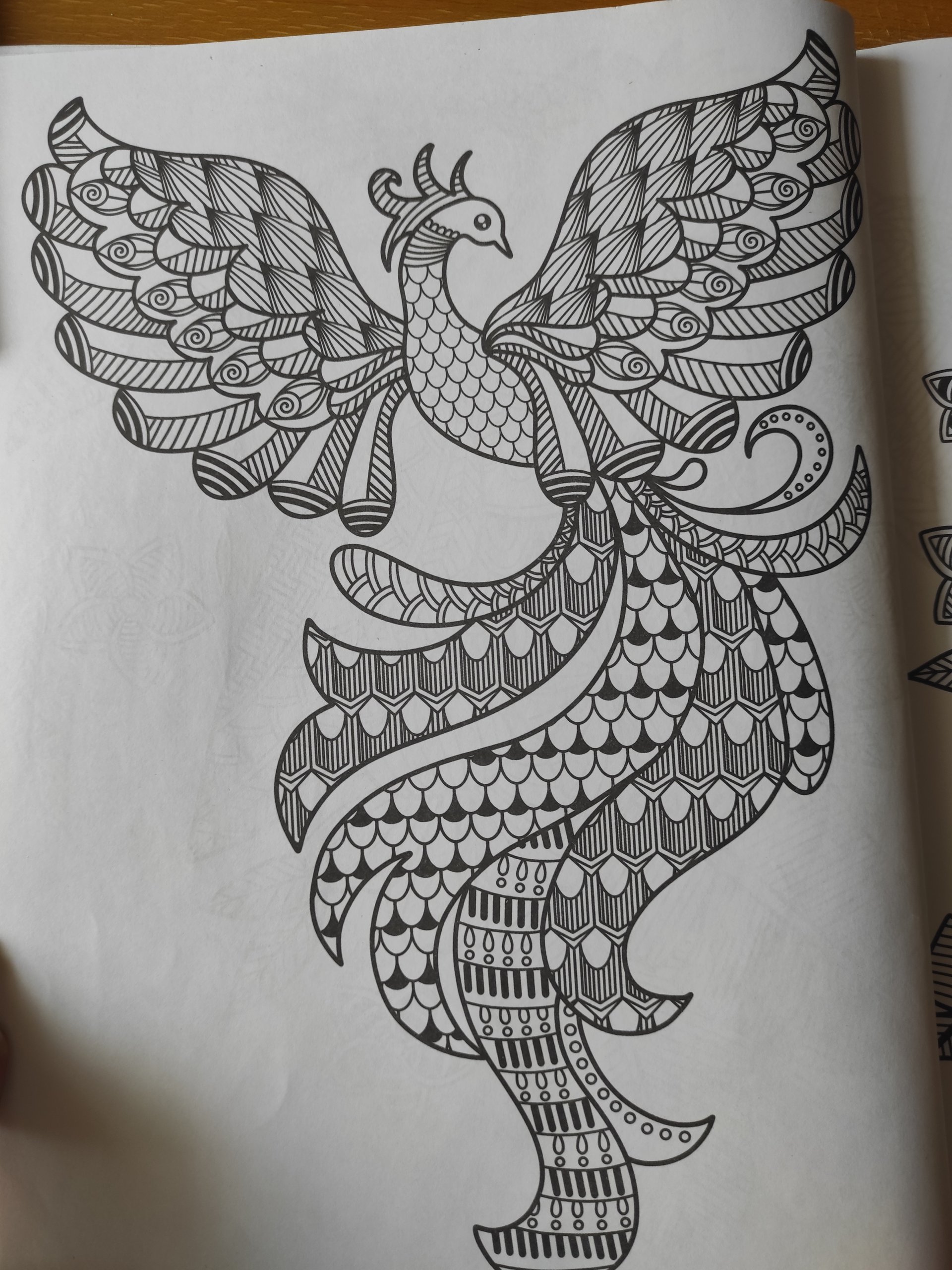 AI generated red butterfly coloring page for kids