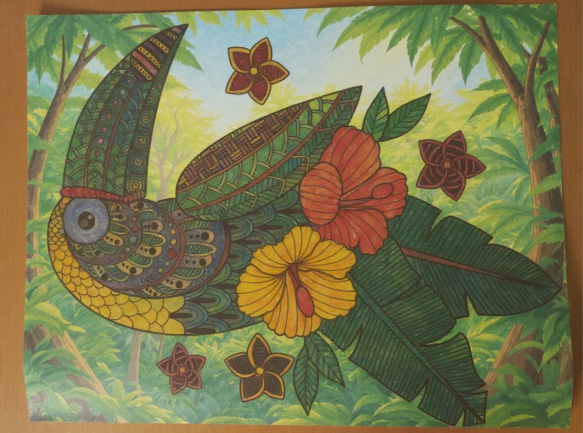 AI generated red butterfly coloring page for kids