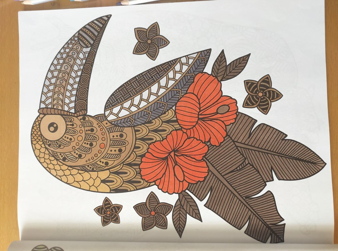 Flower garden coloring page with bright colors