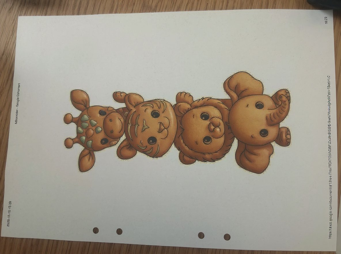 Vivid realistic coloring page showcasing a butterfly on a flower