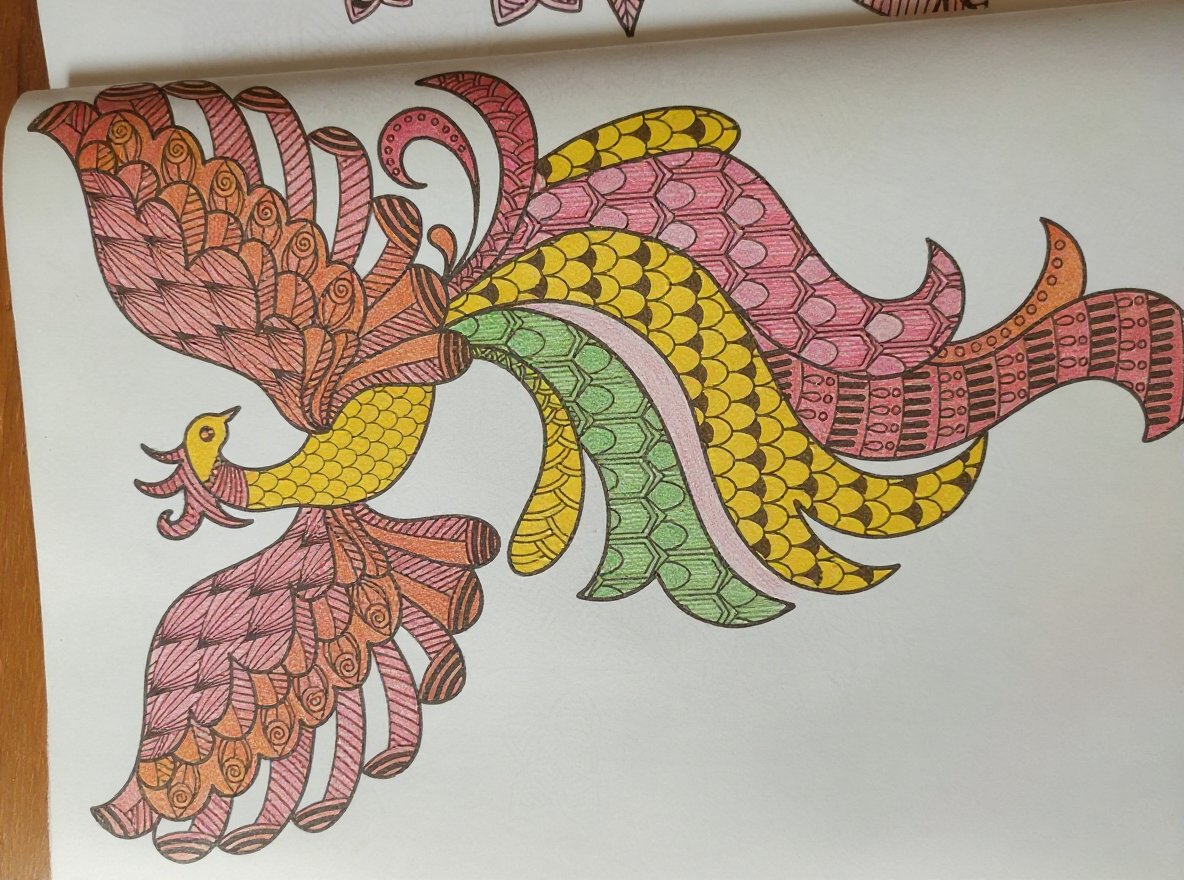 Coloring page of a red sunset landscape with trees