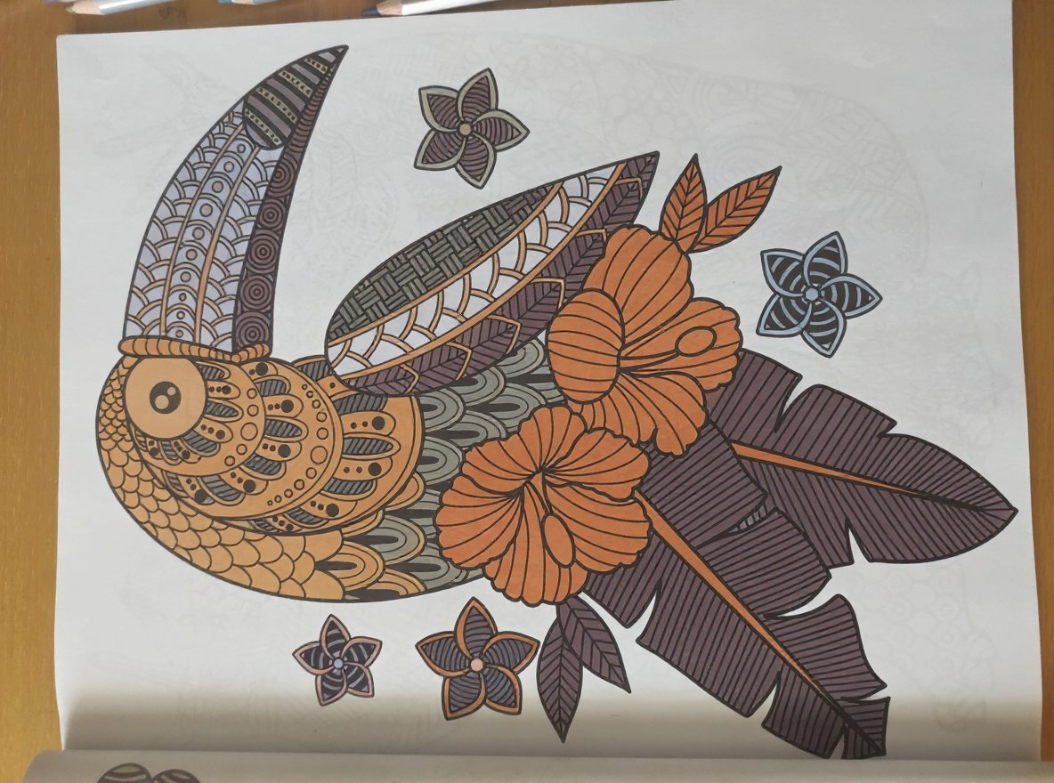 Whimsical fantasy scene coloring page