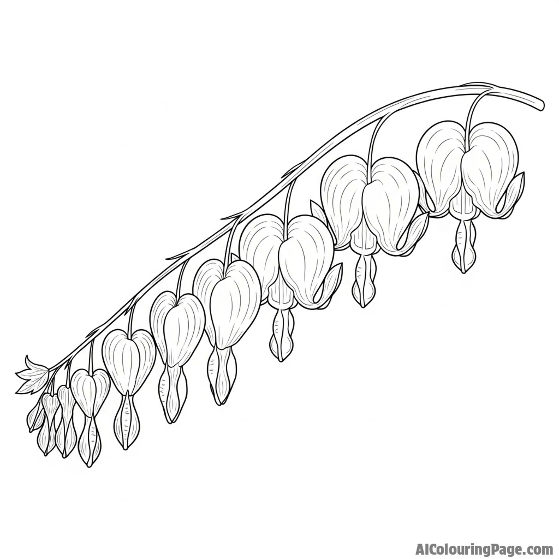 Bleeding heart flowers hanging from a stem, whimsical scene.