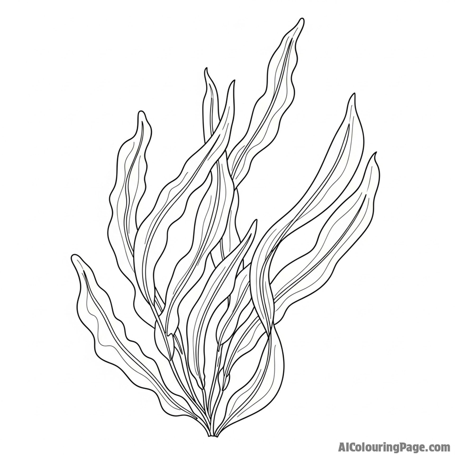 Seaweed flowing with the underwater currents.